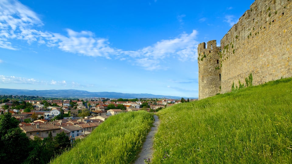 Carcassonne which includes heritage architecture and chateau or palace