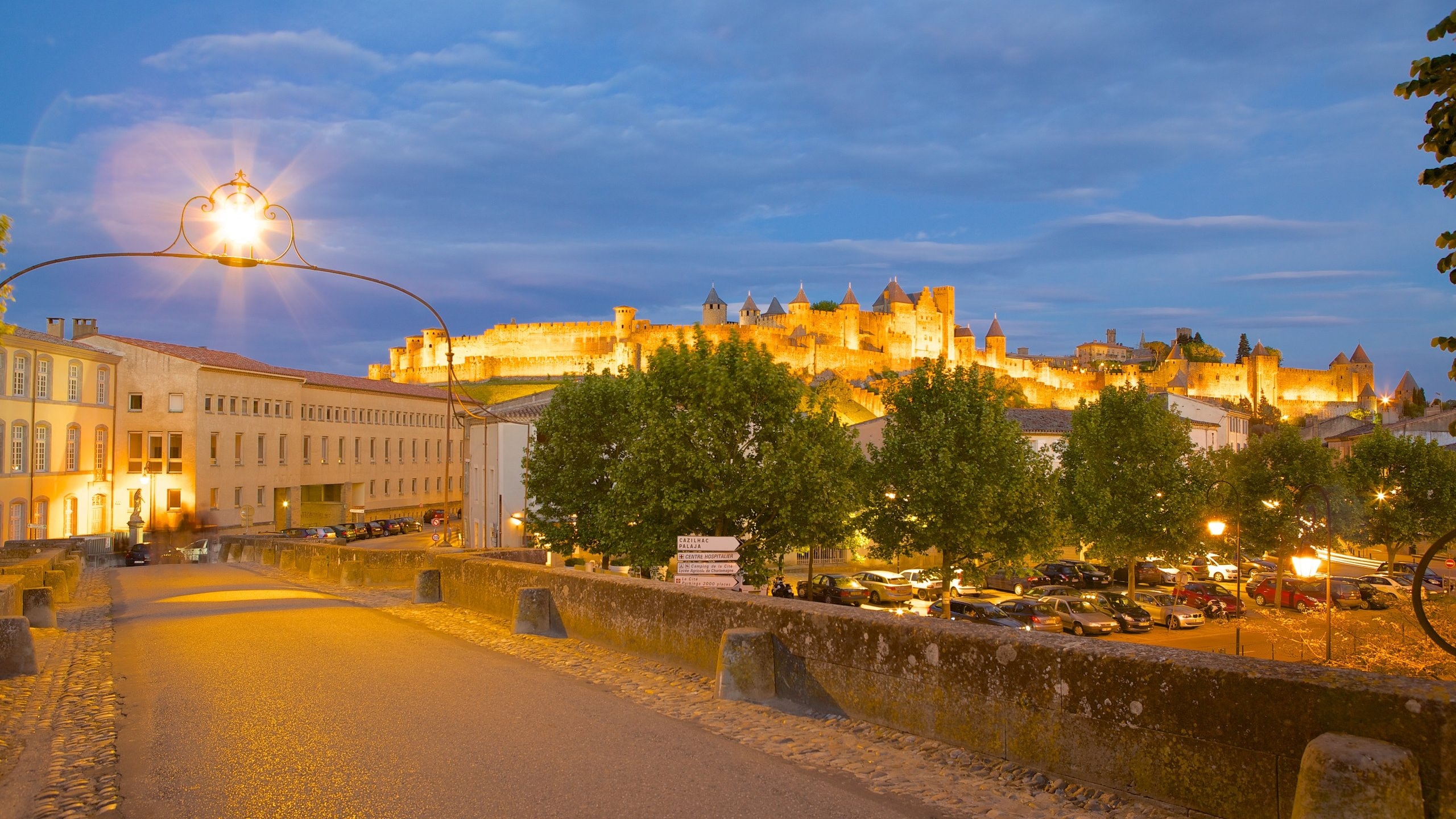 Carcassonne showing chateau or palace and night scenes