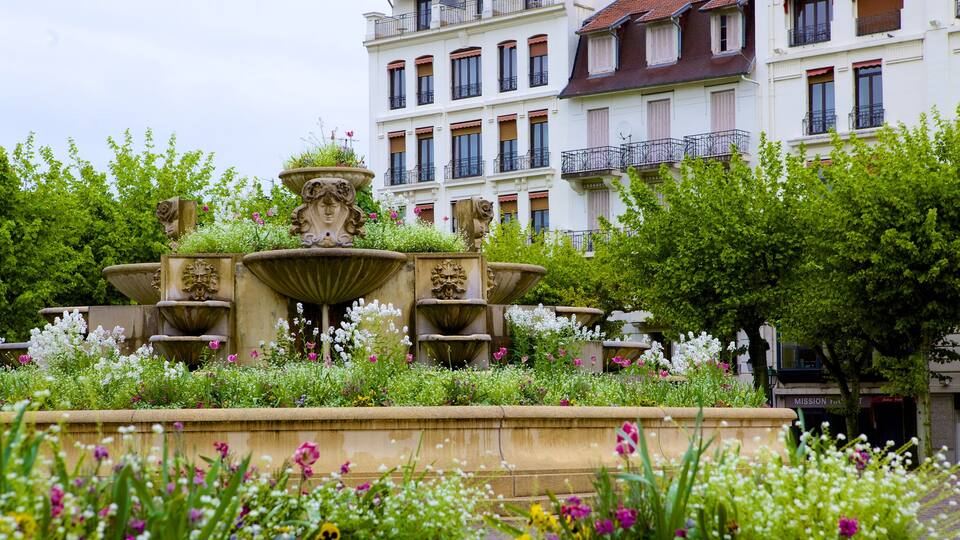 Aix-les-Bains showing a park and flowers