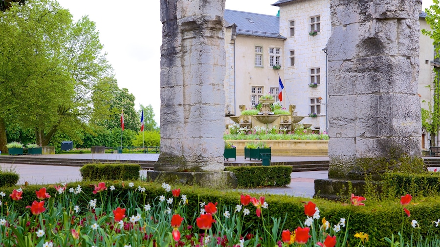 Aix-les-Bains mostrando flores y un parque
