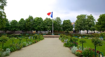 Jardin de Ville welches beinhaltet Garten