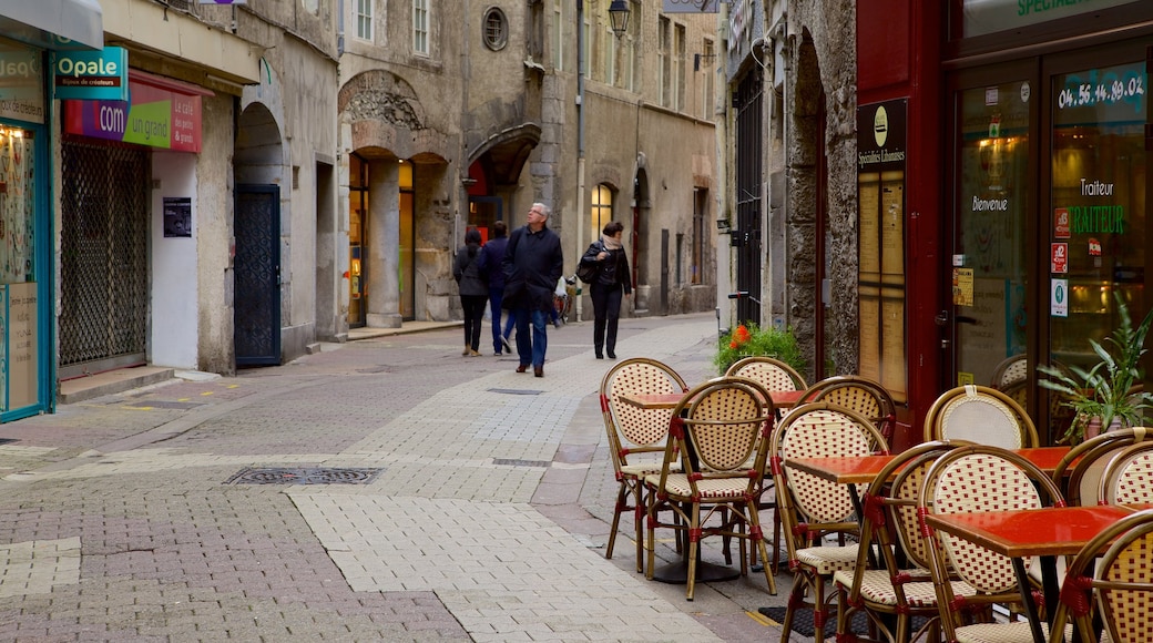 Grenoble which includes street scenes and heritage architecture