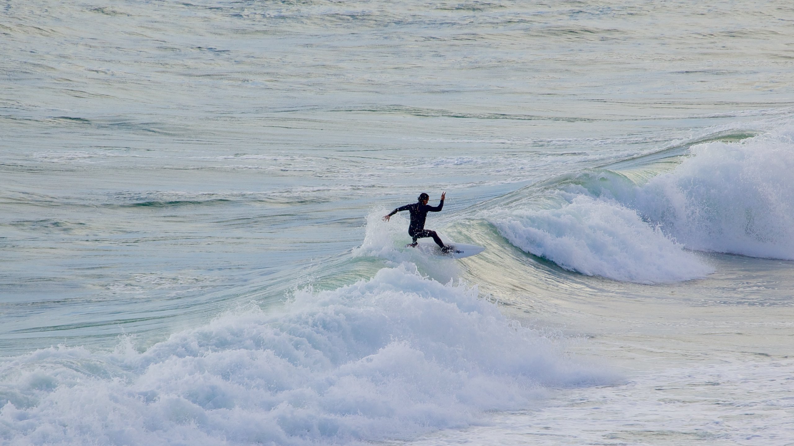 Biarritz showing waves and surfing