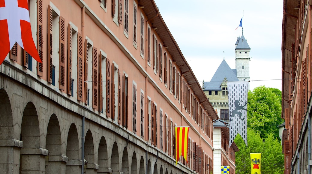 Chambéry mostrando un edificio administrativo y arquitectura patrimonial