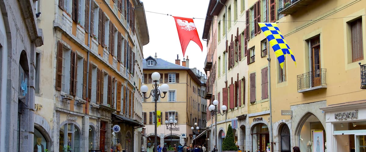 Chambéry que incluye escenas urbanas, una fuente y patrimonio de arquitectura