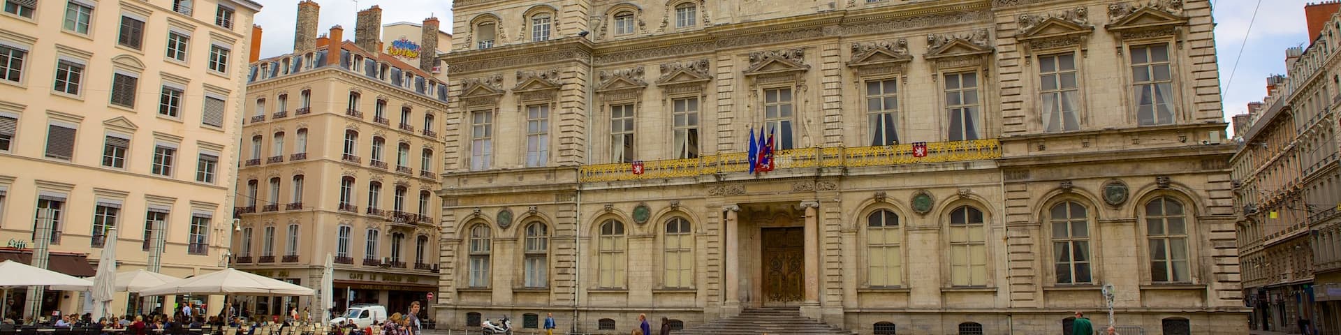 Terreaux Square which includes an administrative buidling, heritage architecture and a square or plaza