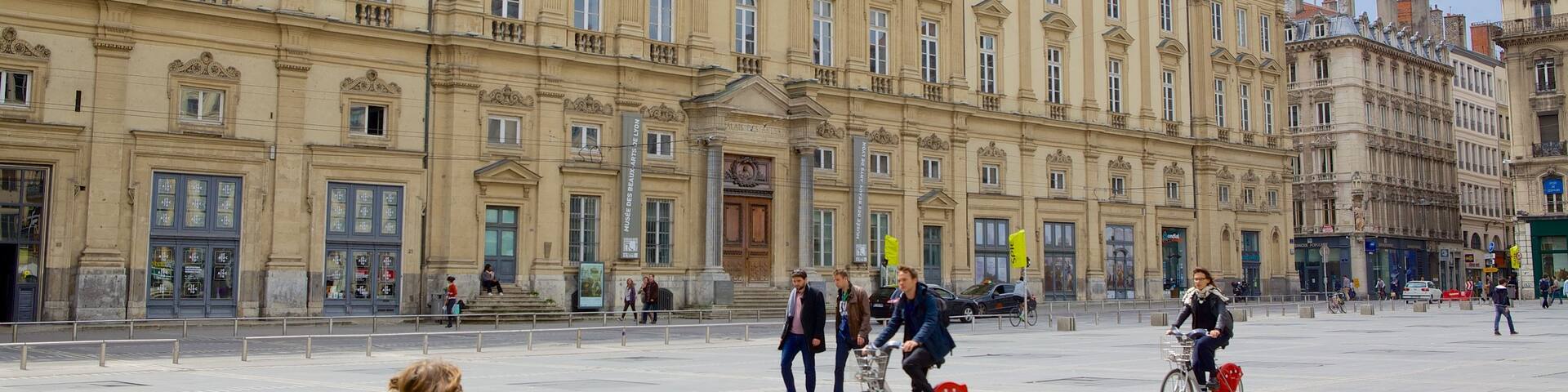 Lyon Museum of Fine Arts featuring cycling, street scenes and a square or plaza