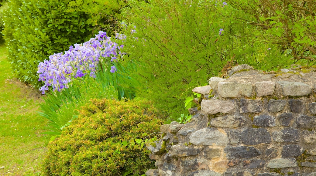 Théâtre Romain de Fourvière presenterar blommor och en ruin