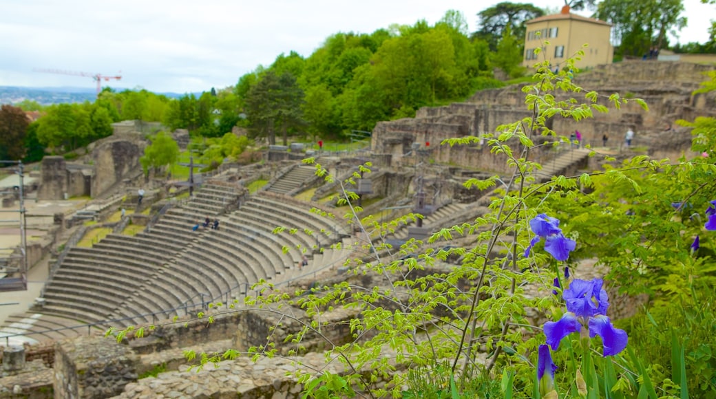 Roman Theatres of Fourviere featuring a ruin