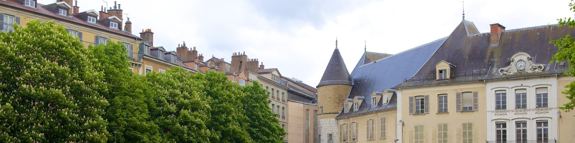 Jardin de Ville which includes a garden