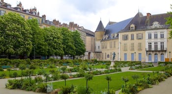 Jardin de Ville showing a garden