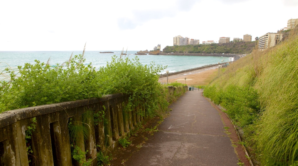 Cote des Basques showing general coastal views