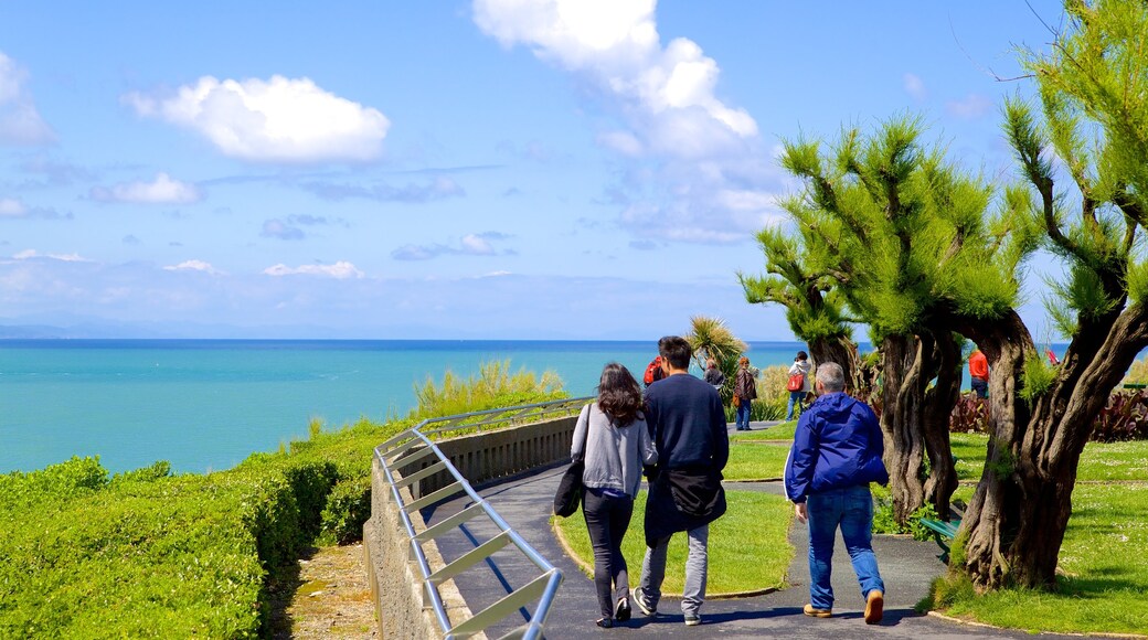 Faro de Biarritz ofreciendo un jardín y senderismo o caminatas y también un grupo pequeño de personas