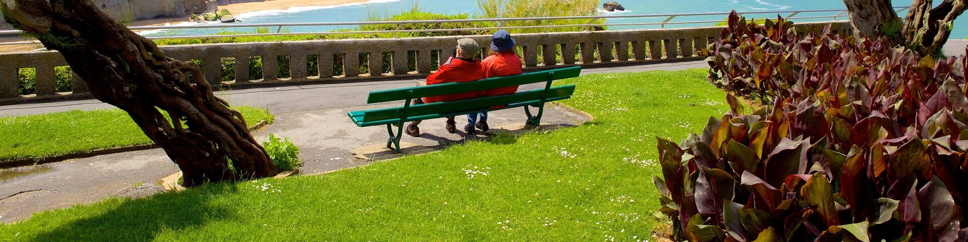 Biarritz Lighthouse which includes views and a park as well as a couple