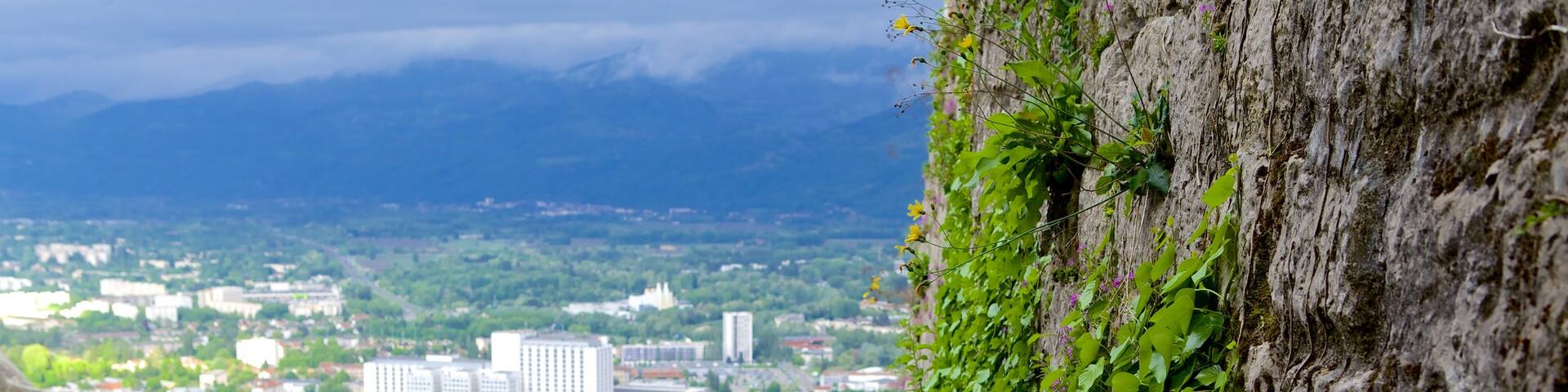 Fort de la Bastille which includes a city