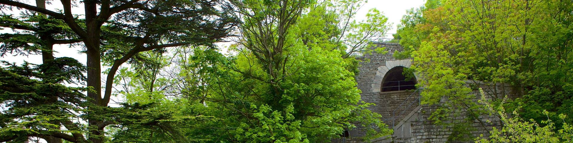 Fort de la Bastille showing heritage architecture