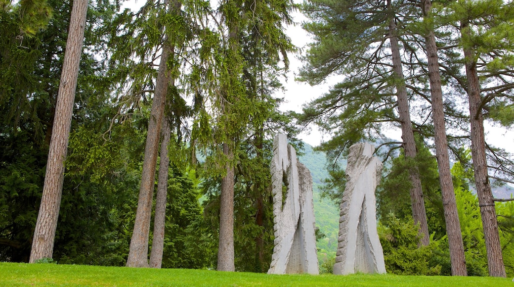 Museo di Grenoble mostrando paesaggio forestale e arte urbana