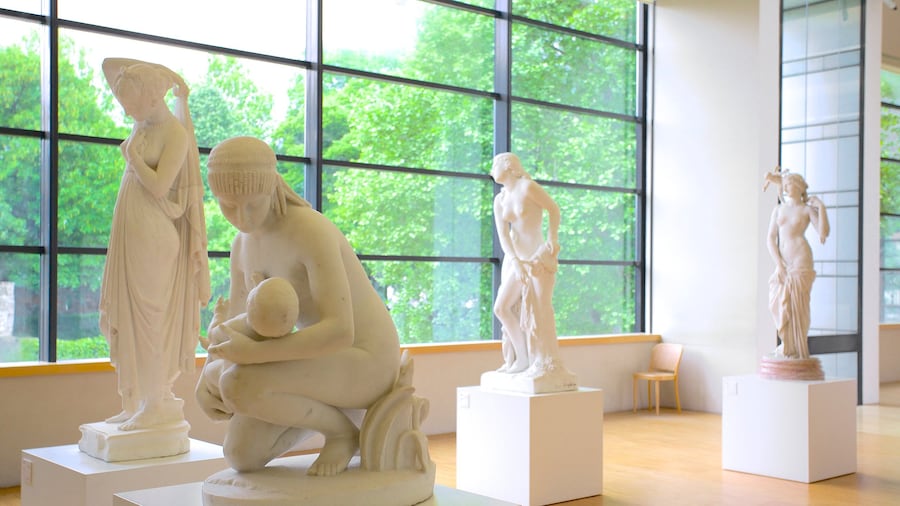 Museo di Grenoble che include arte