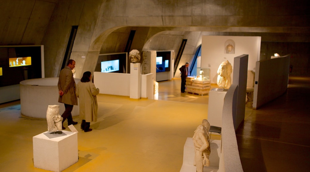 Museo Galo-Romano