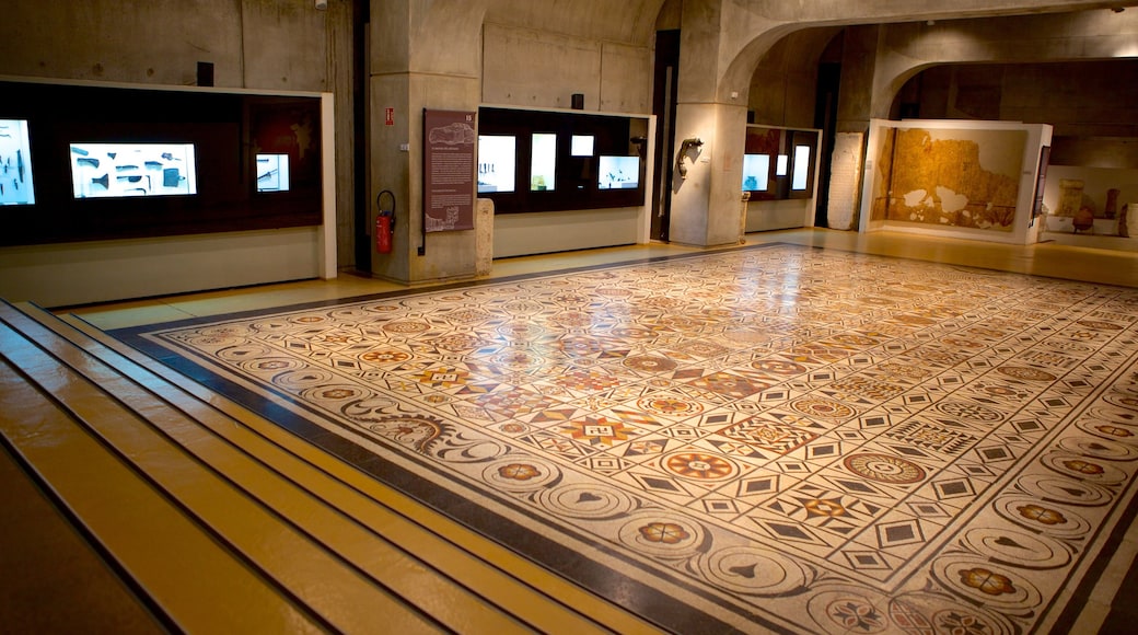 Museo Gallo-Romano