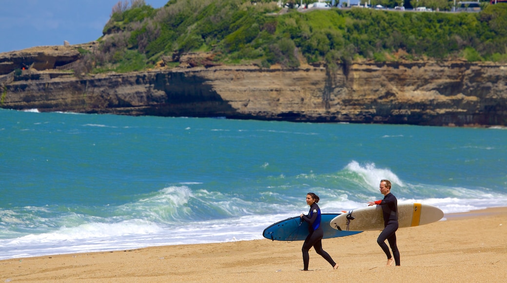 Grand Beach which includes a sandy beach, rocky coastline and surfing