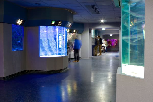 Musée de la Mer
