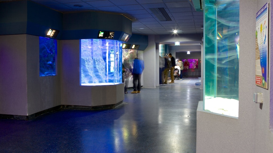 Musée de la Mer