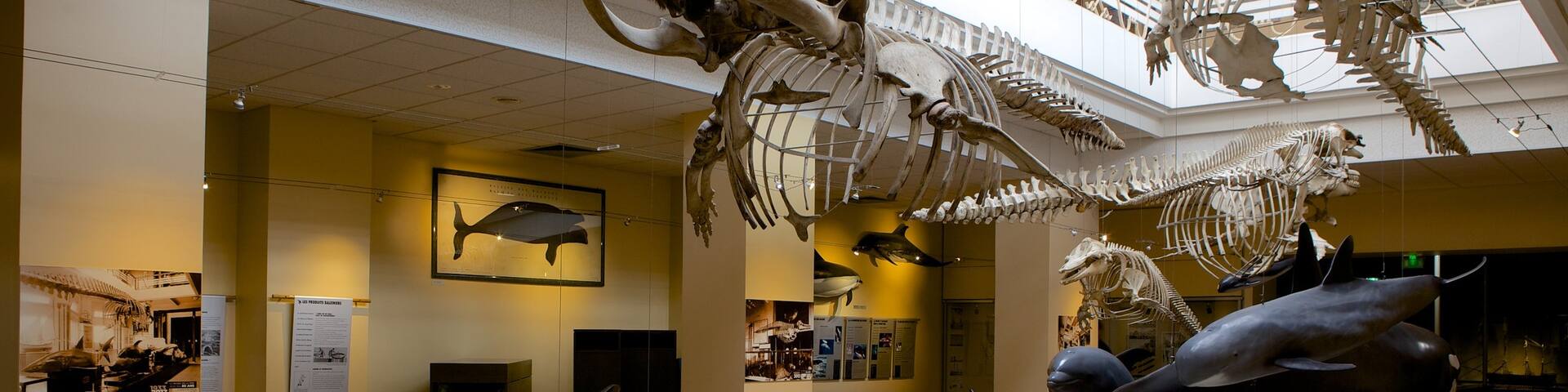 Sea Museum which includes interior views