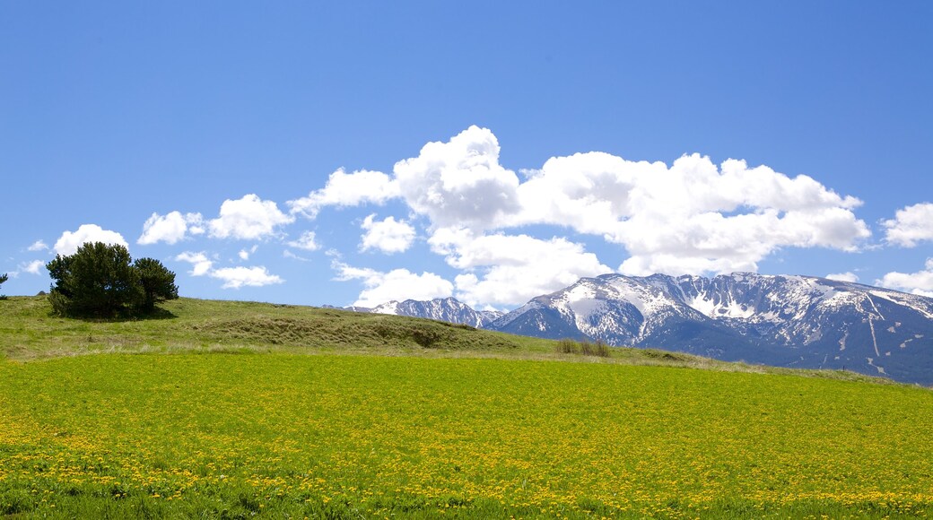 Font-Romeu-Odeillo-Via which includes tranquil scenes and landscape views