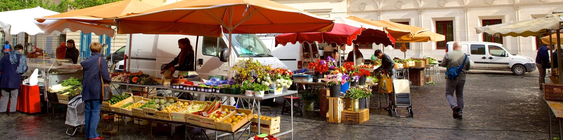 Grenoble qui includes scÚnes de rue, marchés et square ou place