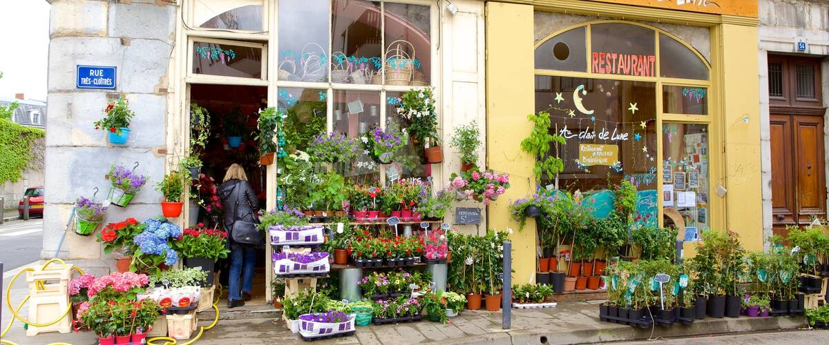 Grenoble mettant en vedette scènes de rue, fleurs et shopping