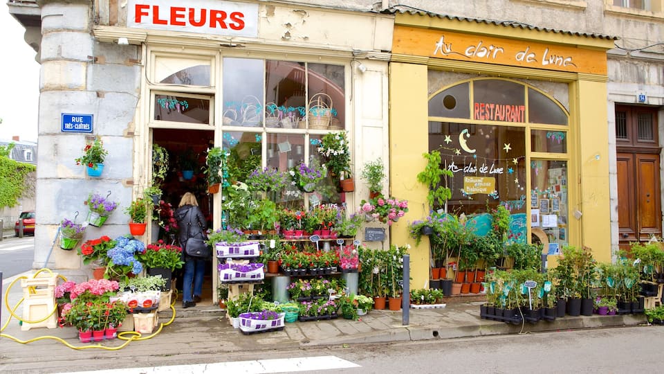 Grenoble bevat winkelen, bloemen en straten