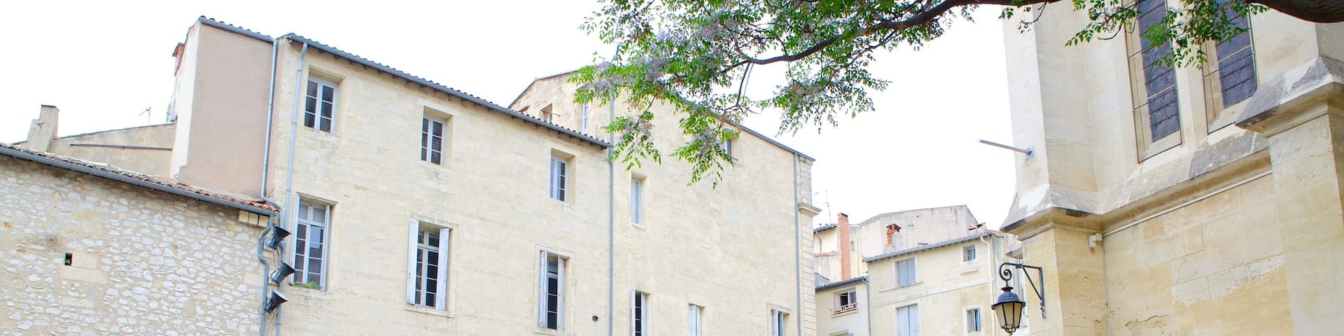 Montpellier qui includes square ou place, vélo et scènes de rue