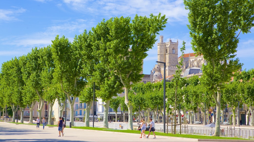 Narbonne showing street scenes