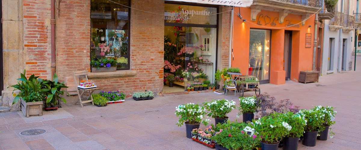 Perpignan which includes shopping, street scenes and flowers