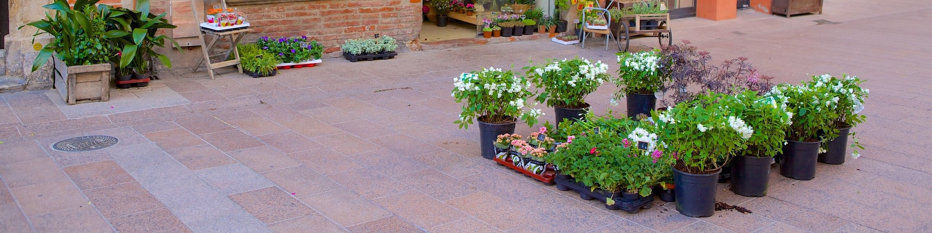 Perpignan mettant en vedette shopping, scènes de rue et fleurs