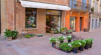 Perpignan which includes street scenes, shopping and flowers