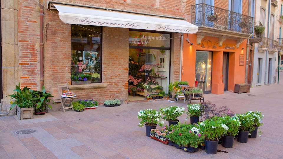 Perpignan caratteristiche di shopping, strade e fiori