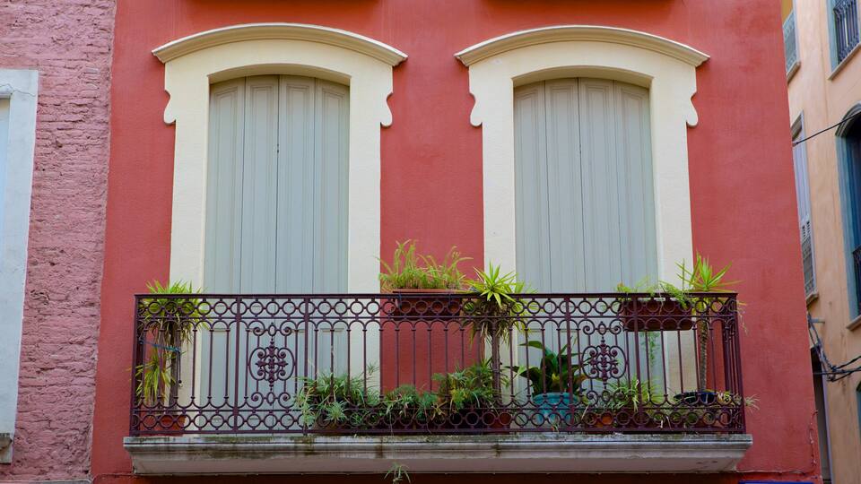 Perpignan featuring a house