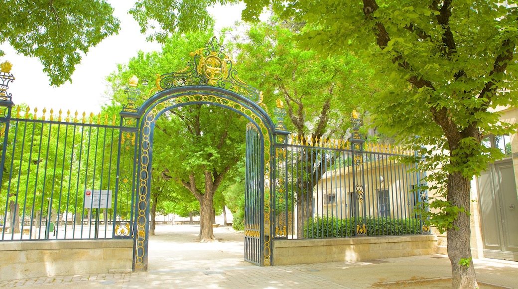 Nimes showing street scenes and a park