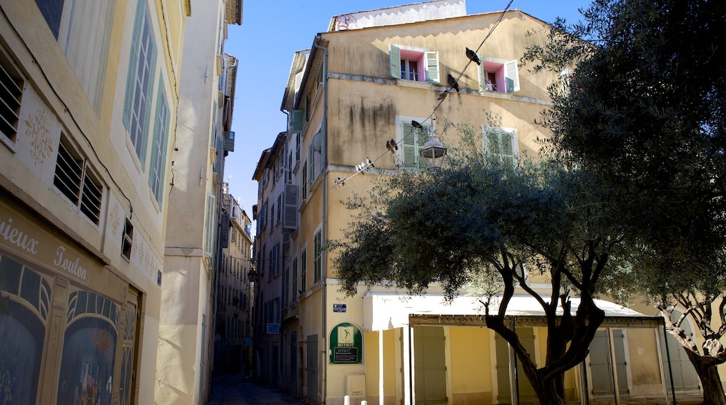 Old Town showing street scenes