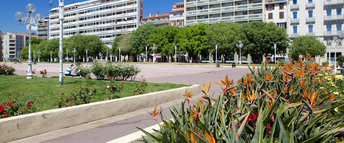 Vieille ville mettant en vedette square ou place, fleurs sauvages et fleurs