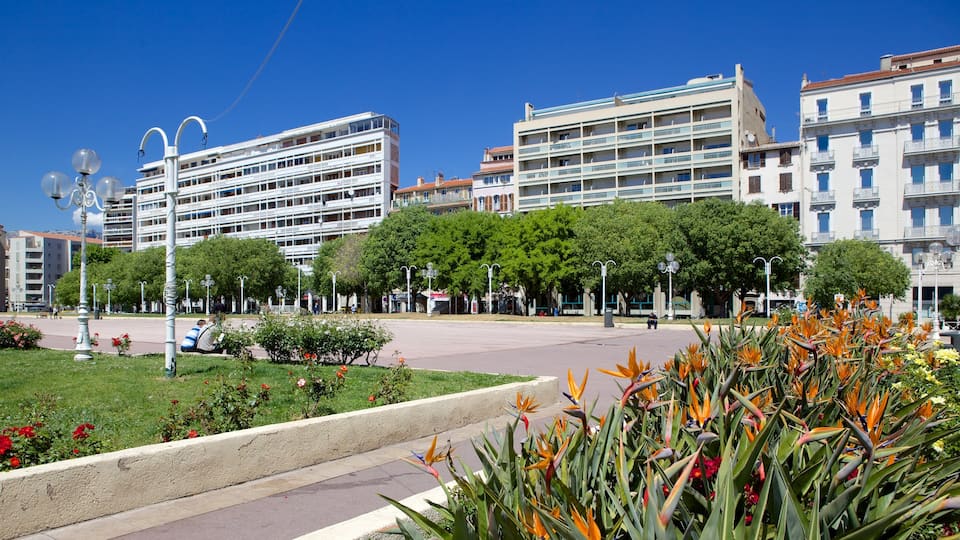 Ciudad Vieja mostrando flores silvestres, flores y un parque o plaza