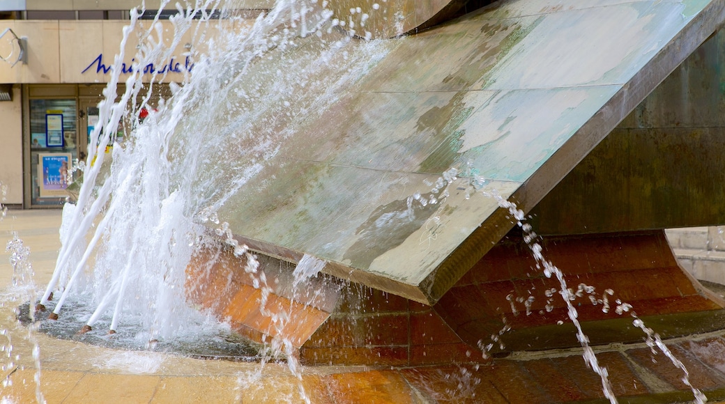 Lyon Opera showing outdoor art and a fountain