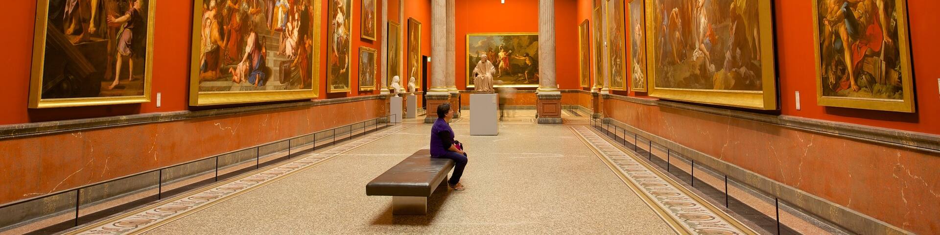 Fabre Museum featuring art and interior views