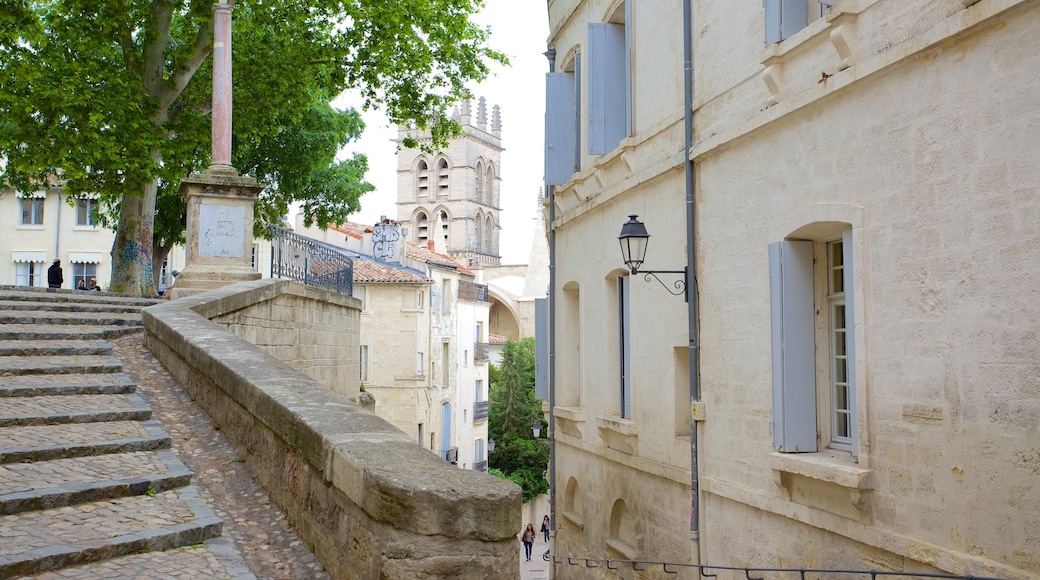 Montpellier Cathedral showing street scenes