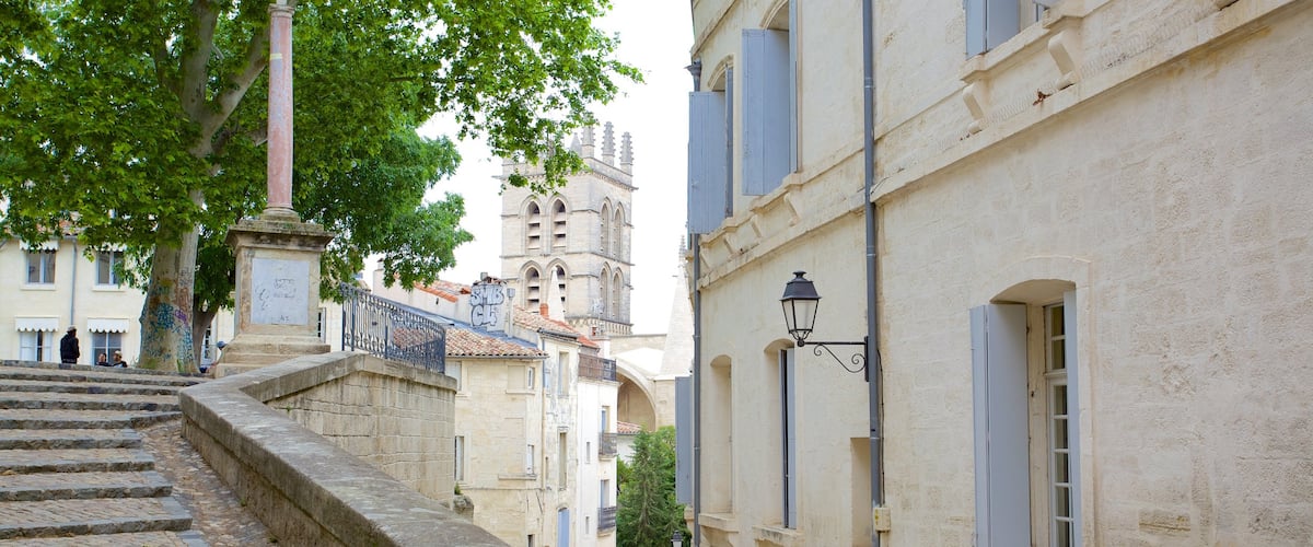 Montpellier Cathedral which includes street scenes