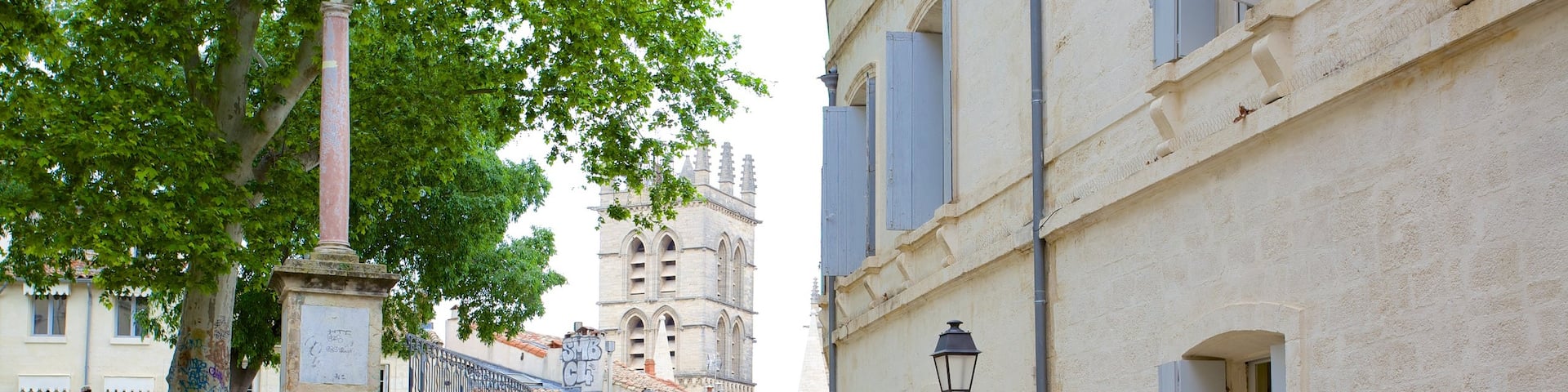 Montpellier Cathedral showing street scenes