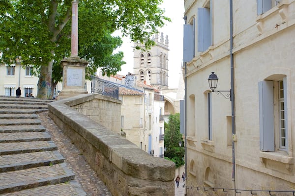 Cathédrale de Montpellier mettant en vedette scènes de rue