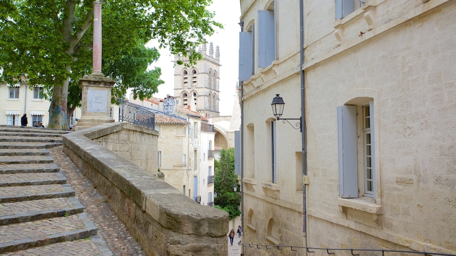 Catedral de Montpellier